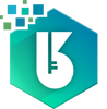 B&K Software Company