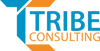 Tribe Consulting Pvt. Ltd.