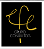 EFE Consulting Group