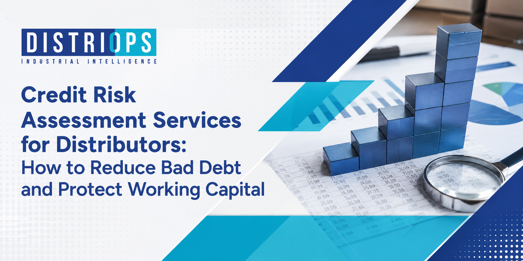 Credit Risk Assessment Services for Distributors
