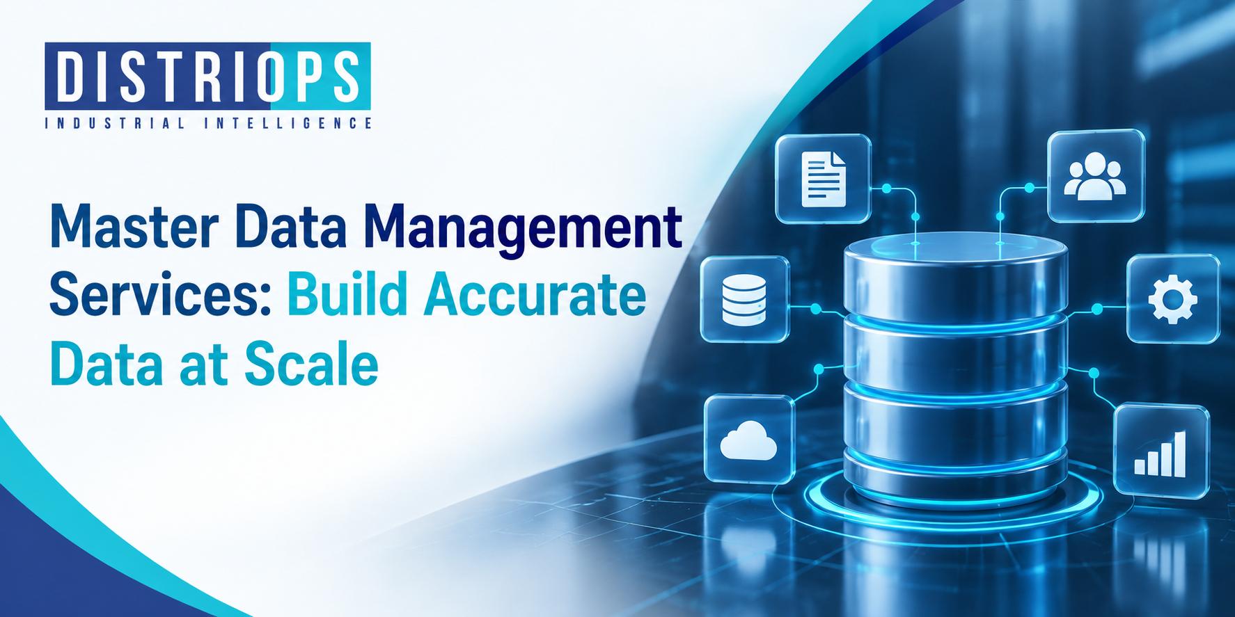 Master Data Management Services