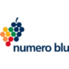 Numero Blu Servizi S.p.A.