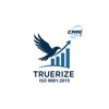 Truerize IQ Strategic Solutions Pvt Ltd