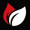 New Leaf Global enterprises Pvt Ltd