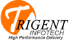 Trigent Infotech Pvt. Ltd.